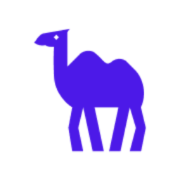 Camel AI